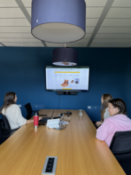 Presentation of the online store