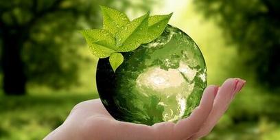 Zauberwort Nachhaltigkeit