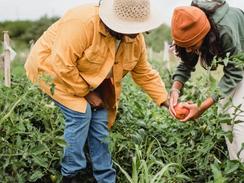 Klimafreundlich Essen in unserer Kantine