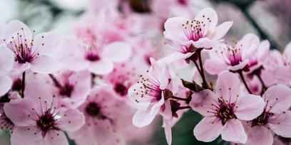 Endlich wieder Frühling