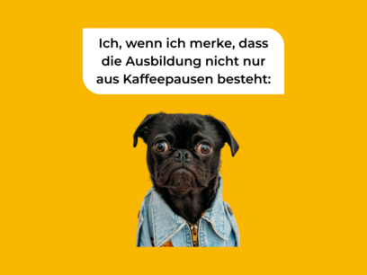 Die wichtigsten Tipps für angehende Berufseinsteiger*innen