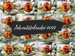 Adventskalender: Die ersten 12 Türchen