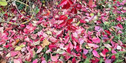 Herbstlandschaft der BAUR-Gruppe