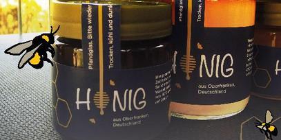 Neues zu den BAUR-Bienen